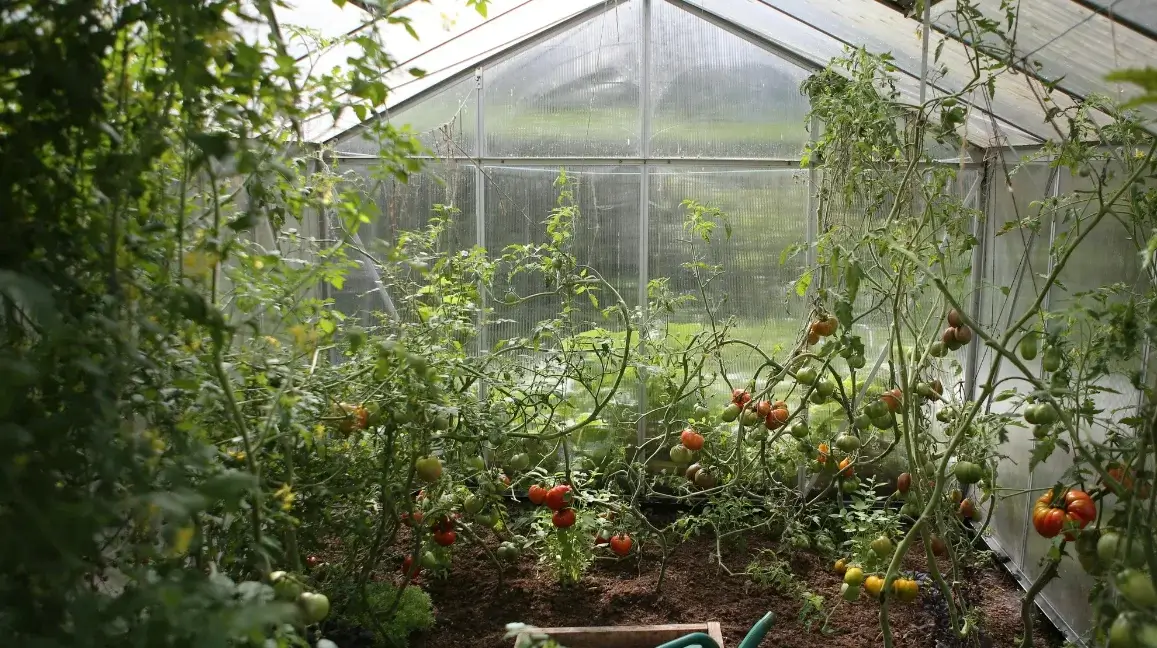 Transportee y maquinaria