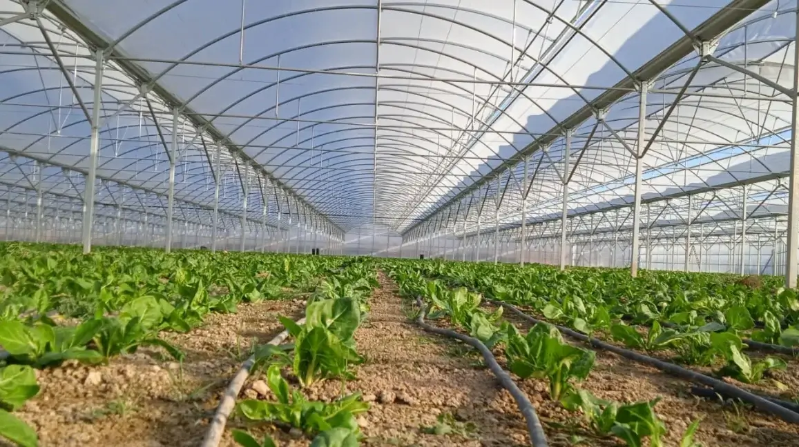 Invenadero multitúnel